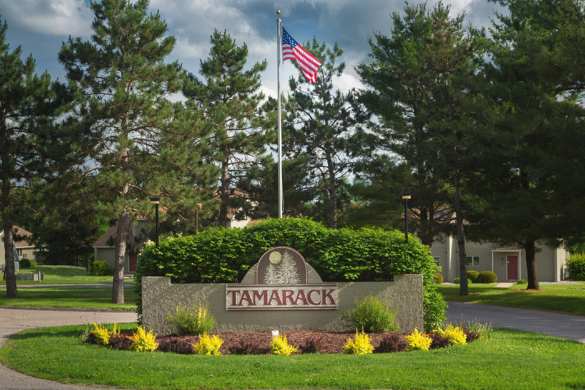 Tamarack Wisconsin Dells, A Ramada By Wyndham Hotel Lake Delton Exterior foto
